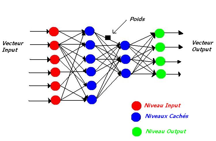 Image réseau neuronal
